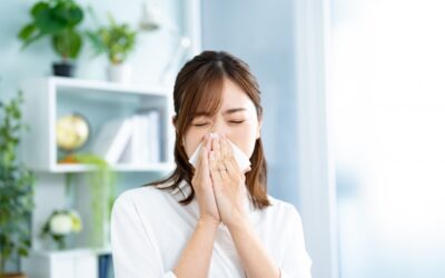 花粉・黄砂が気になり始めた今、“この時季に合った栄養” ちゃんと摂れていますか?