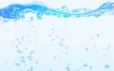 冬太りはむくみが原因? 1月美容は“巡り”と“体内水分バランス”の見直しから