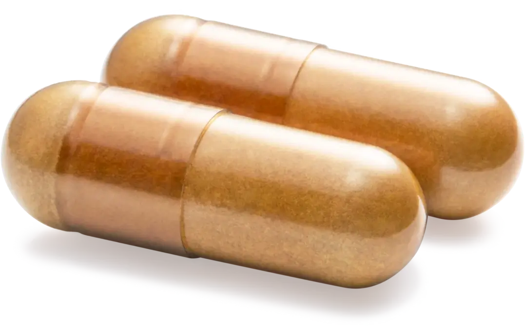 ビタミンC+PQQ - 画像 (3)