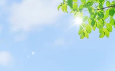 5月の紫外線は真夏の約8割！今から始めるべき紫外線対策とは？